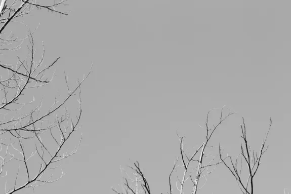 エックスカジノ カジノ サポート